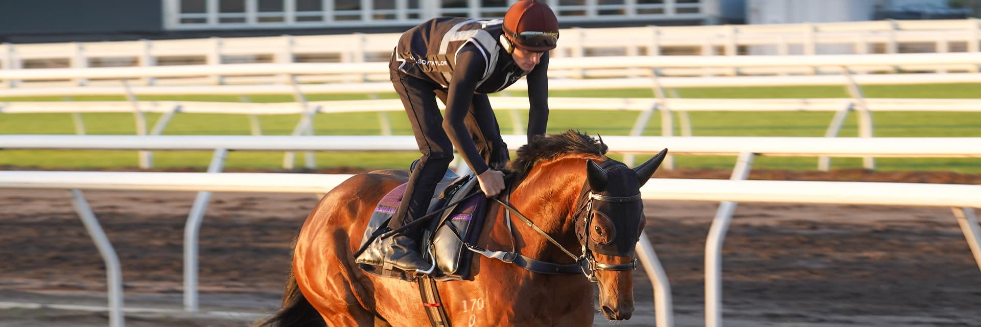 Matt Hoysted Racing Racehorse stable based at Eagle Farm, Brisbane.