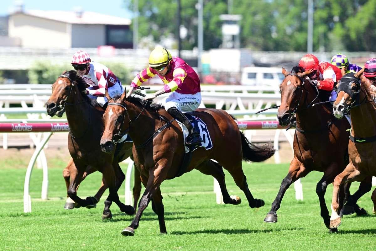 Appin Girl can shine under lights