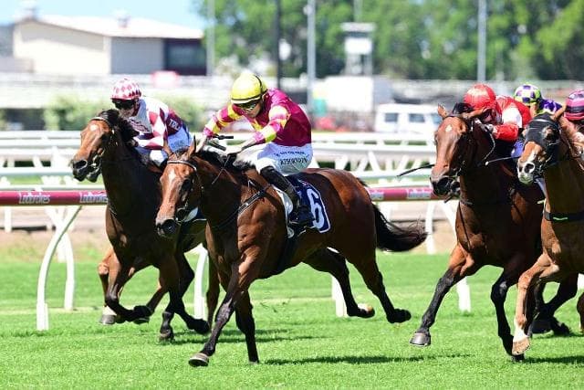 Appin Girl can shine under lights