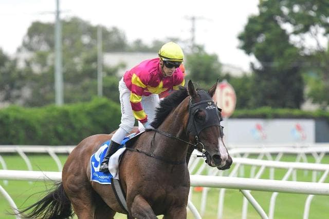 HEADHUNTER toughs it out