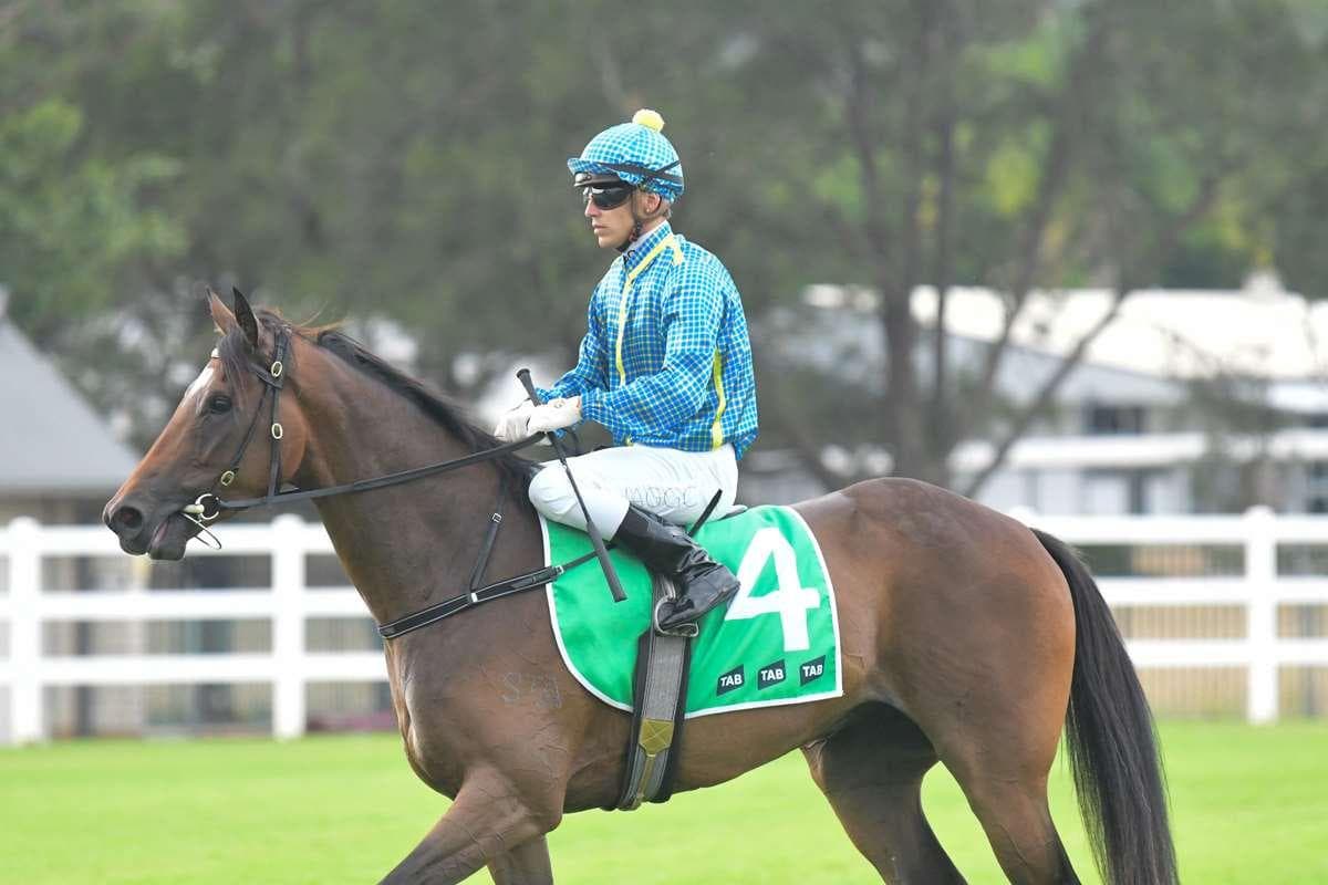 CHEVALLUM breaks through!