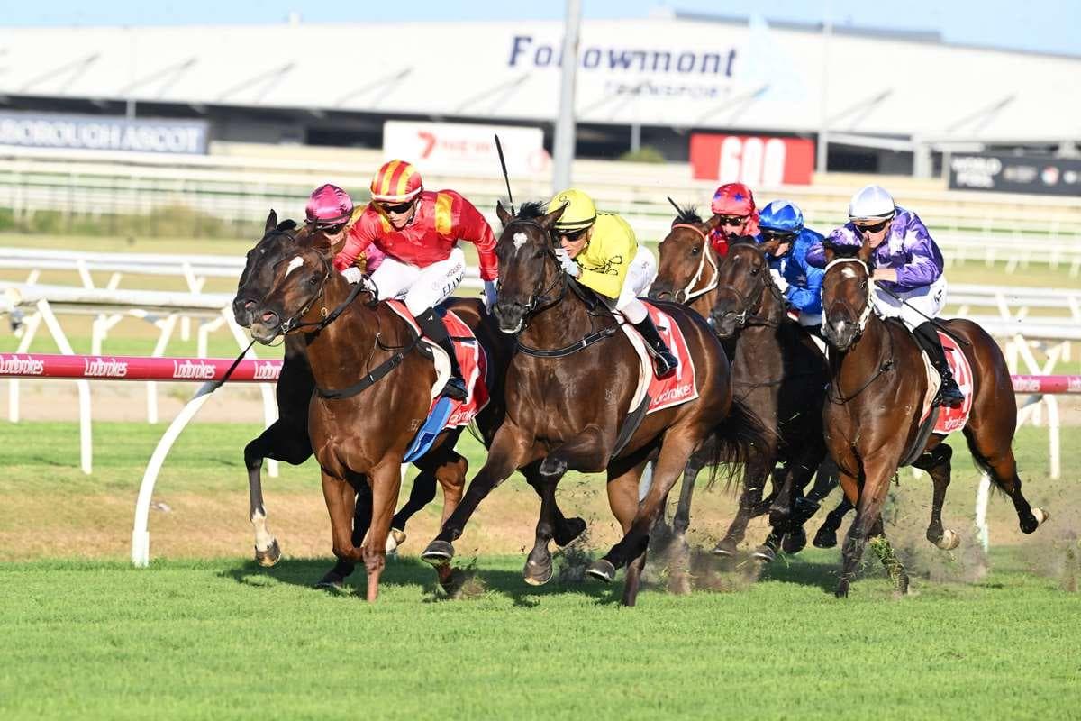 CHIEF CHARGES to victory!