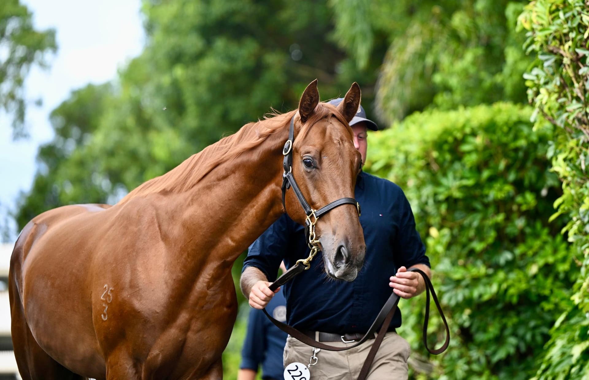 Photo 7-1-2025, 16 32 11.jpg