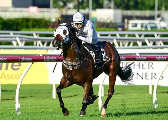 Ouroboros warming up for Queensland winter