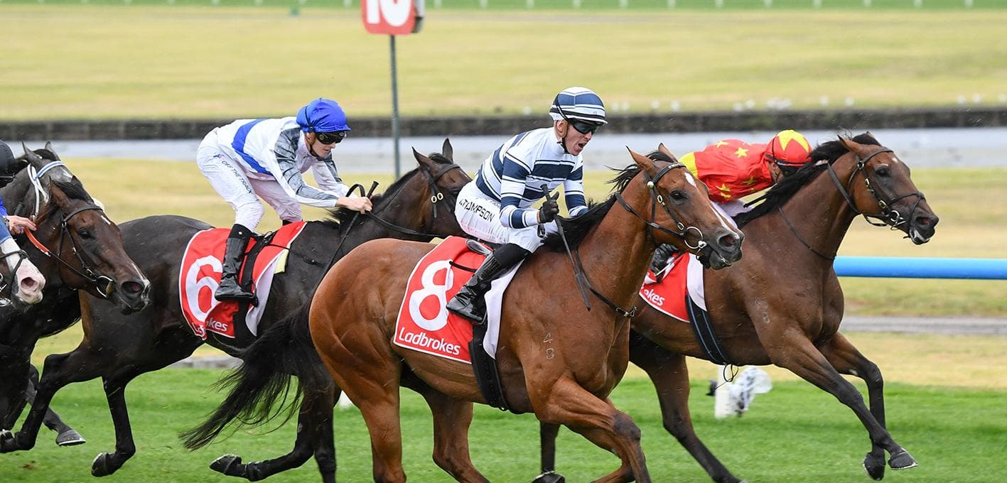 Hoysted Oakleigh Plate 1.JPG