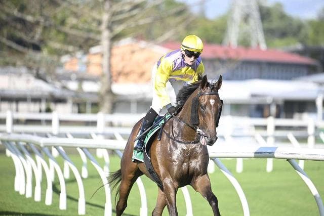 Six of wands back to back!