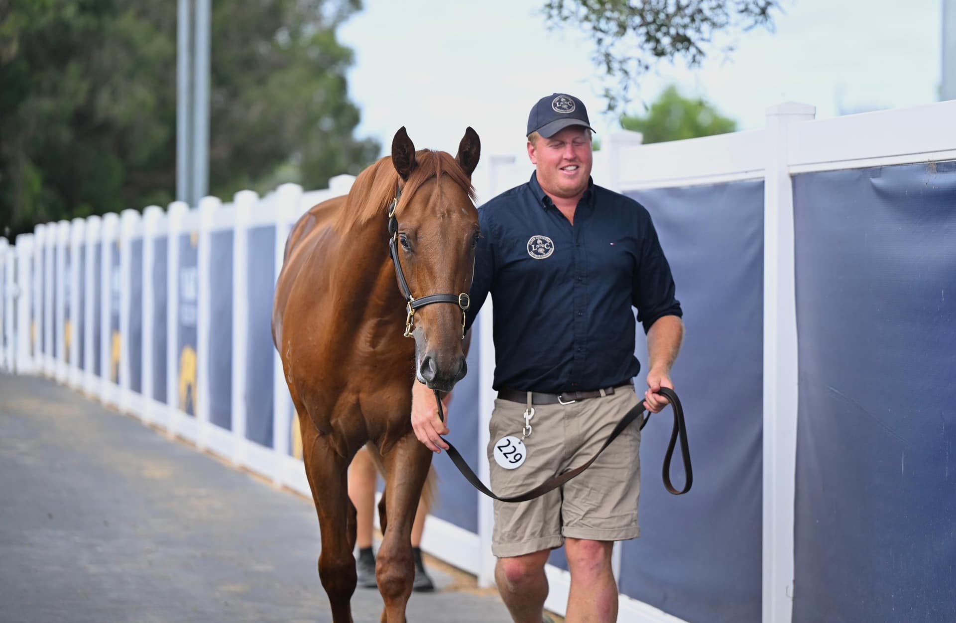 Photo 7-1-2025, 16 32 56.jpg