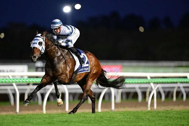 VOVO turns on the afterburners