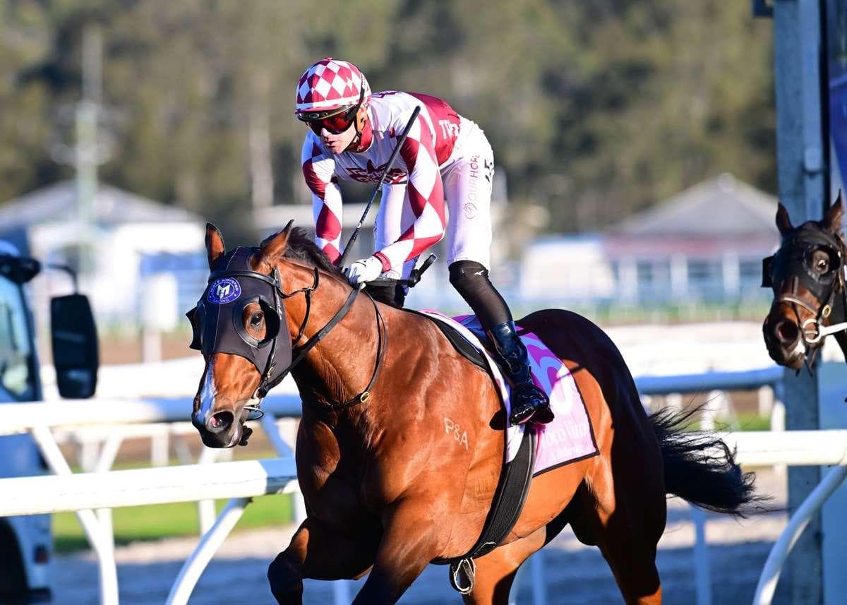 Cantankerous back in business