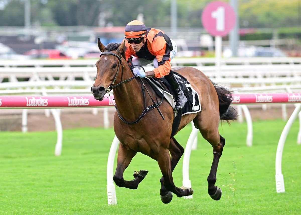 DRAGON LINK blazes to maiden victory