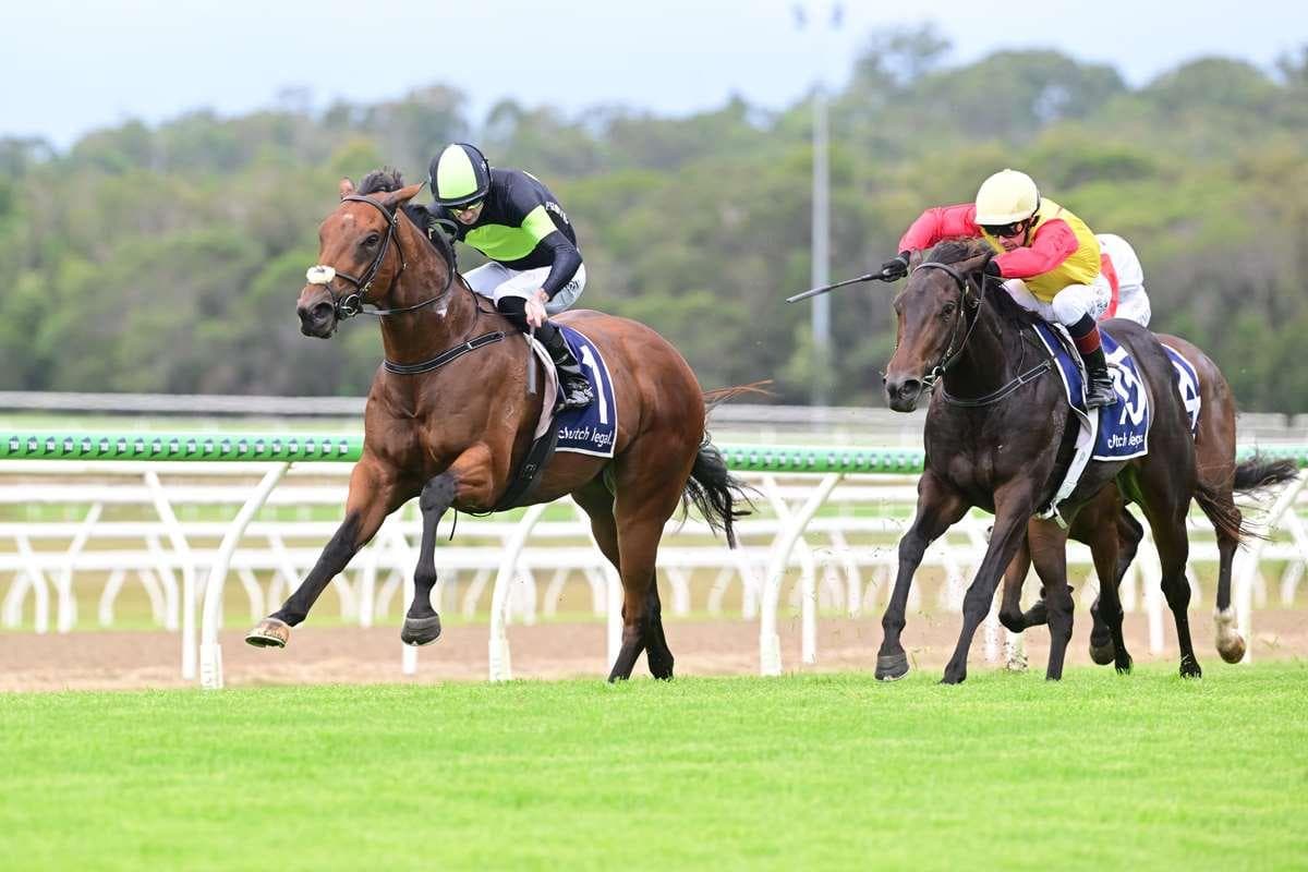 PONTEVICO defies the odds